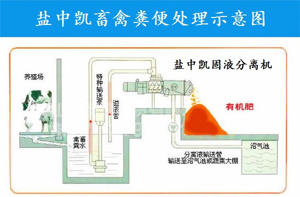 香蕉视频污下载