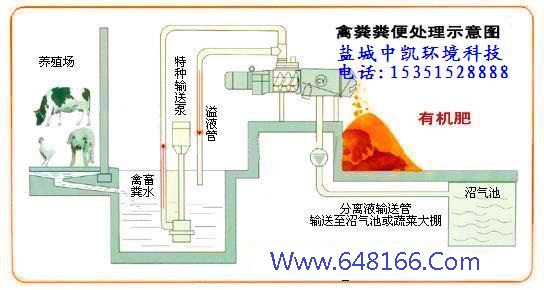 香蕉视频污下载示意图